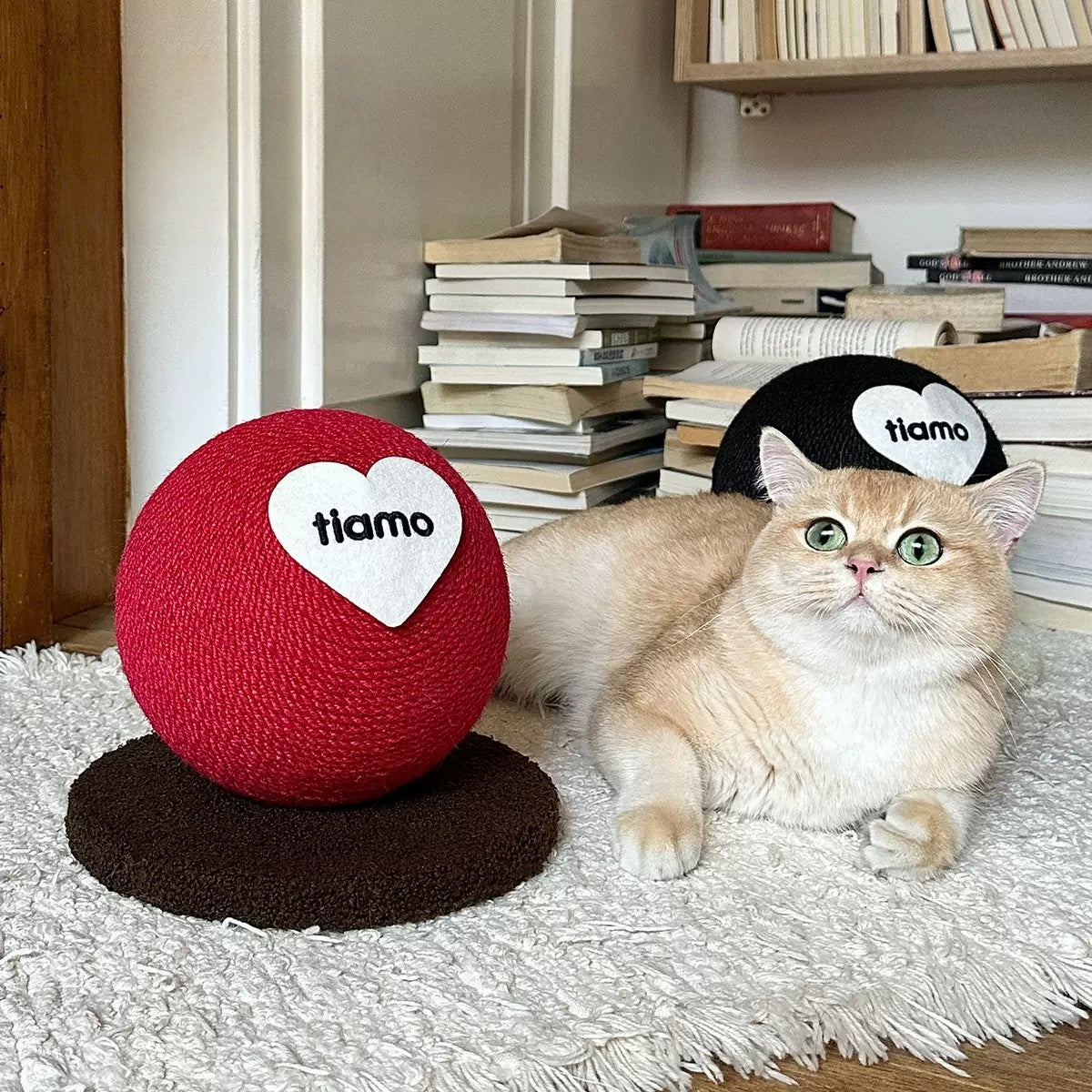 Movo Modern Cat Scratcher Ball – Stylish Design Meets Playtime Fun
