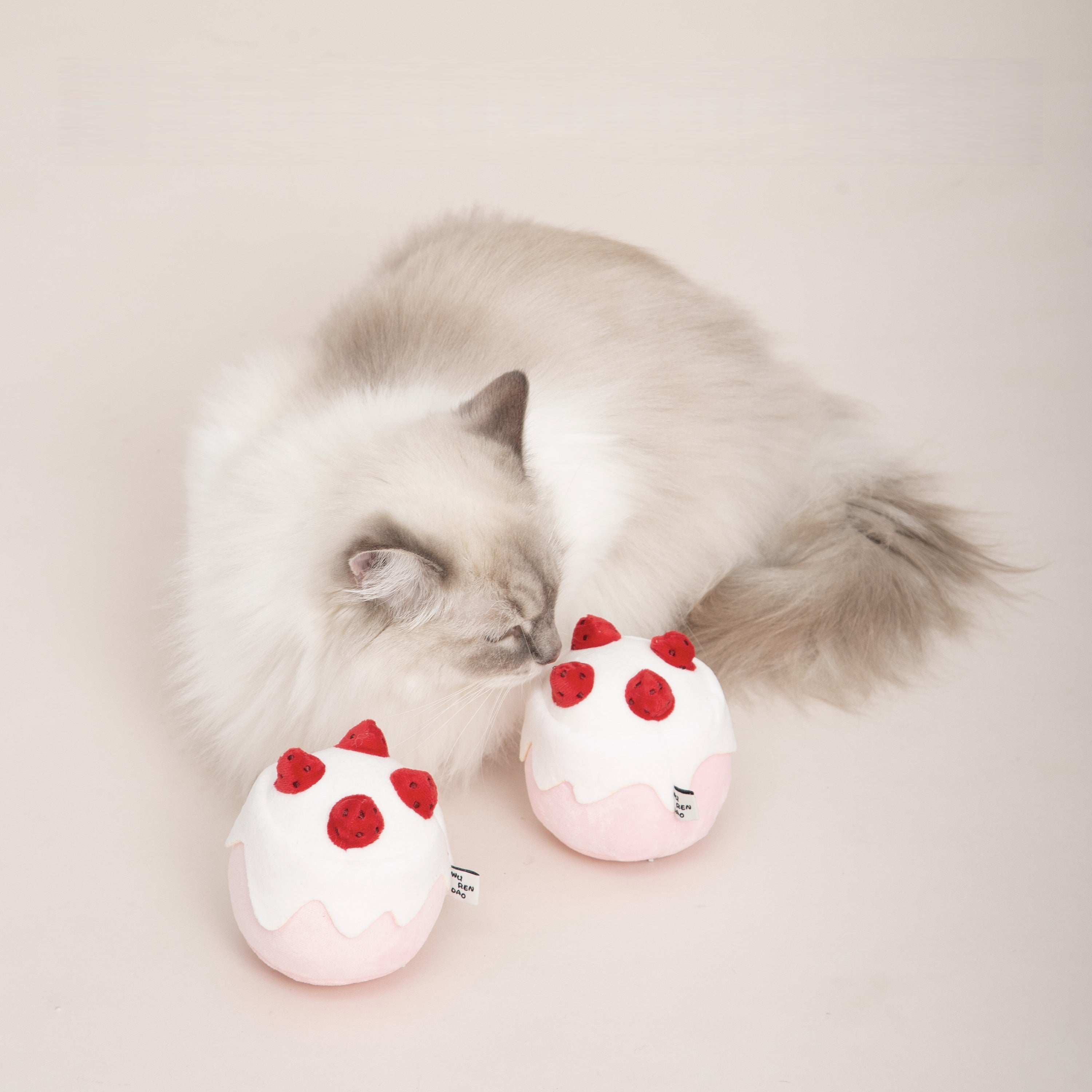 Gateau Catnip Toy – Strawberry Cake Plush for Cats