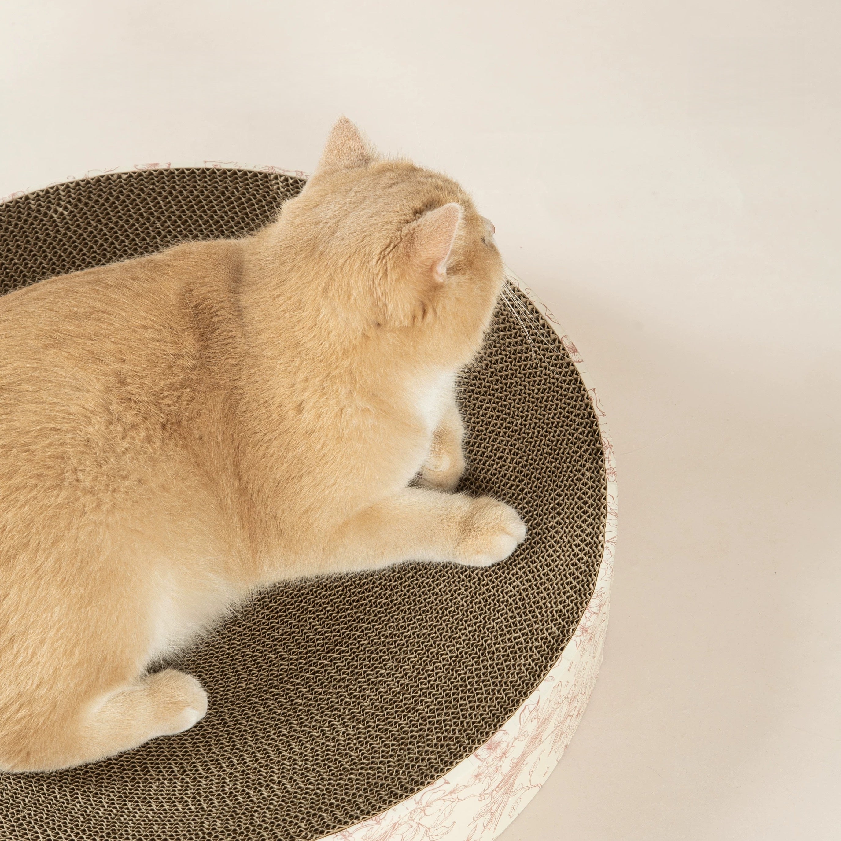 Gravo Cat Scratcher – Round Cardboard Scratch Pad for Happy Cats