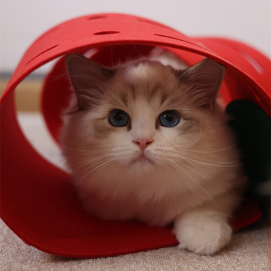 Flower Felt Cat Tunnel Bed
