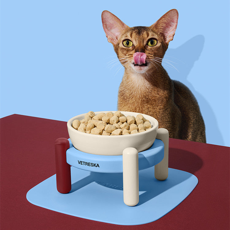 ColorBlock Elevated Ceramic Cat Bowl with Feeding Mat