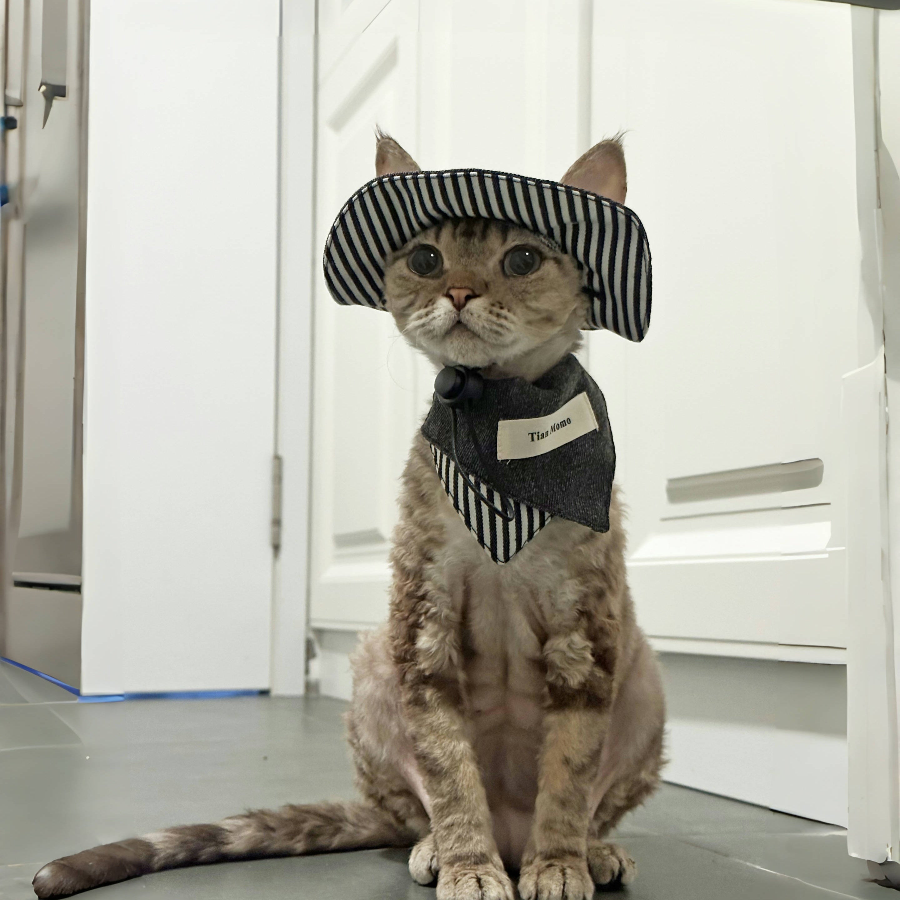 Cat Sun Hat & Bandana Set – Striped Fashion Outfit