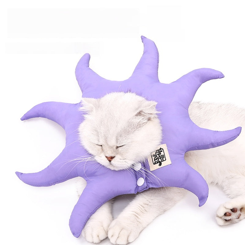 Starfish Plush Cat Costume Collar
