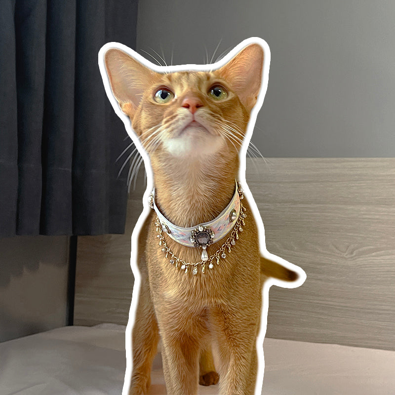 Original Handmade Cat Necklace