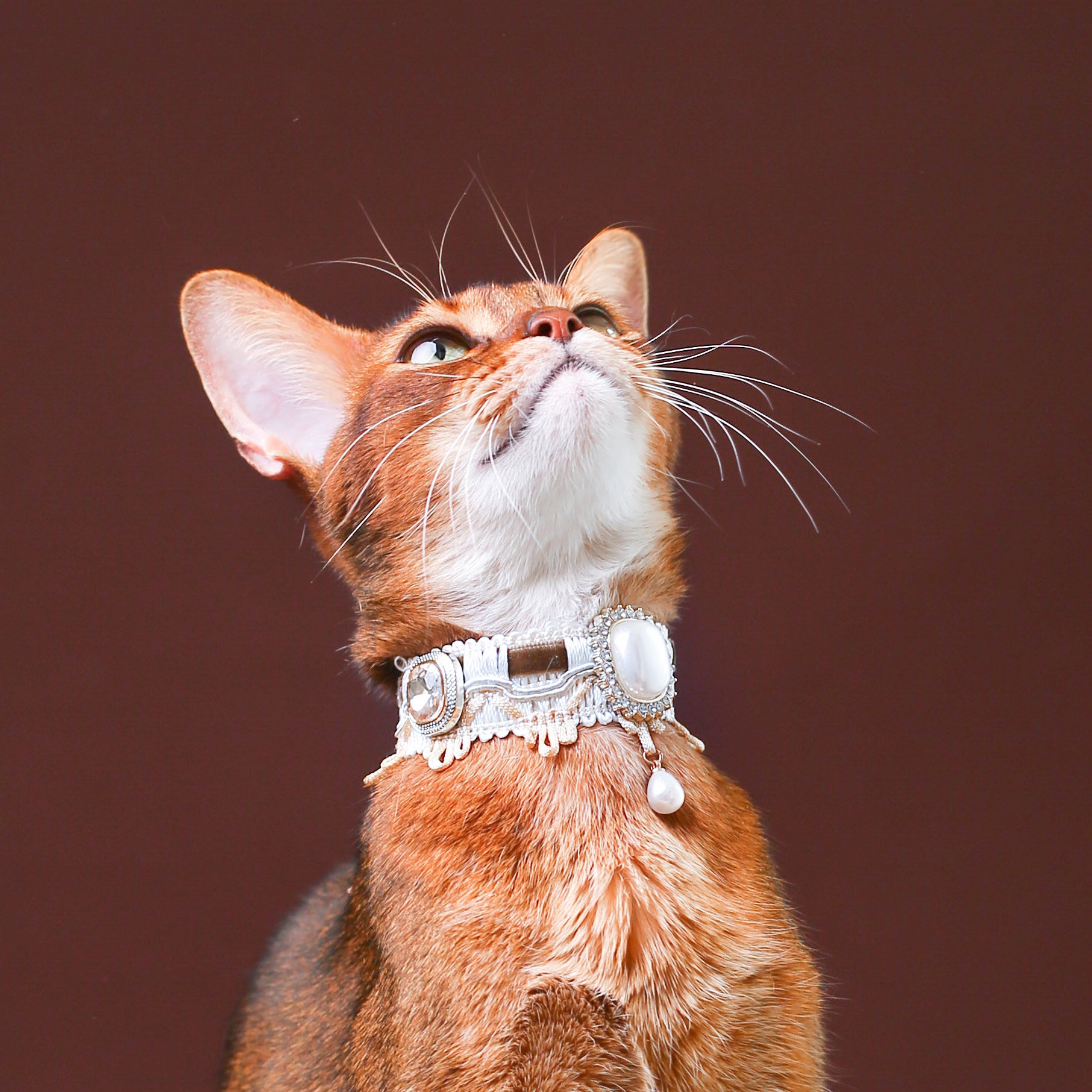 Cat Pearl Victorian Collar