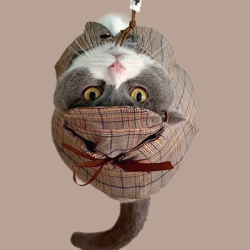 Sherlock Cat Detective Costume
