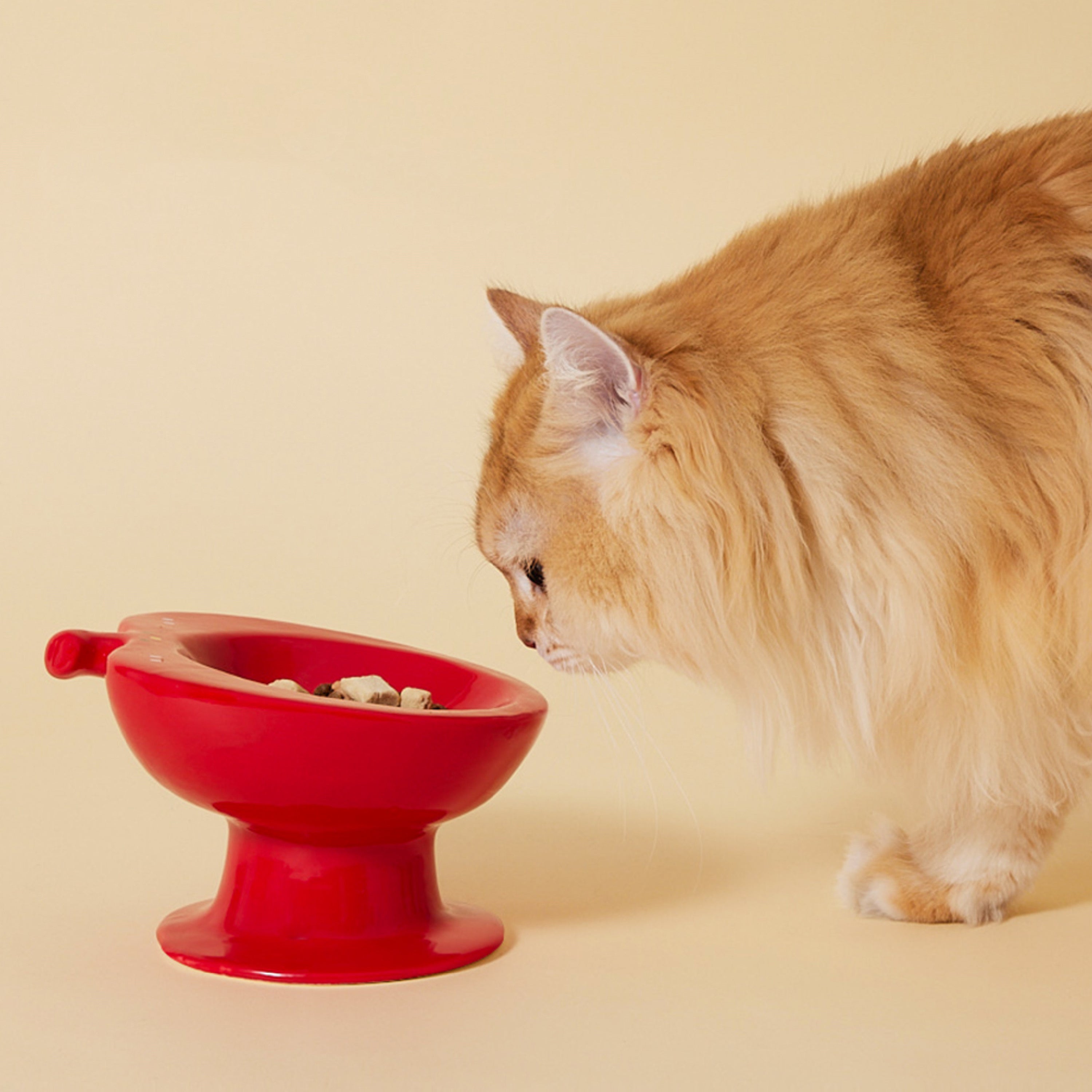 Apple Ceramic Cat Bowl – Elevated Anti-Spill Neck-Protection Feeder