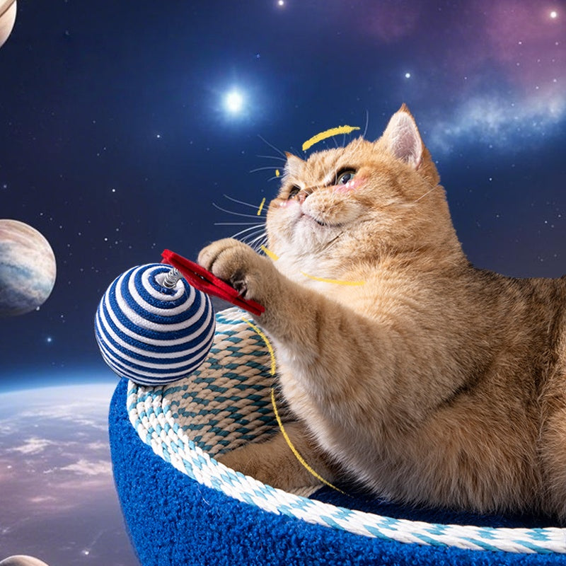 Space-Themed Cat Scratcher Bed