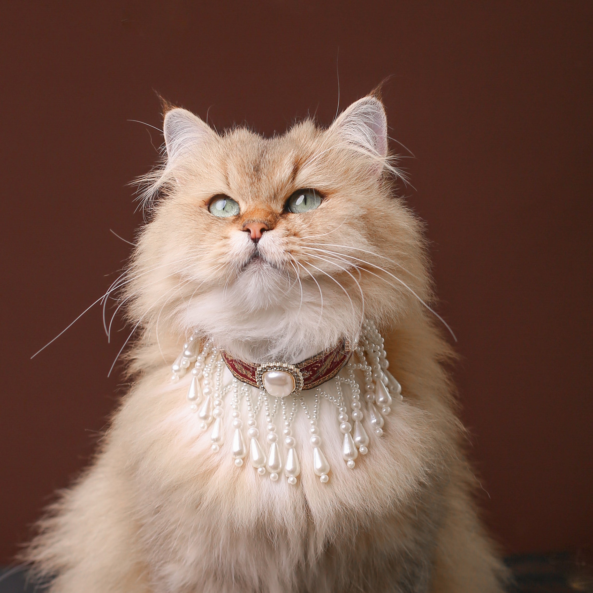 Royal Pearl Tassel Cat Collar