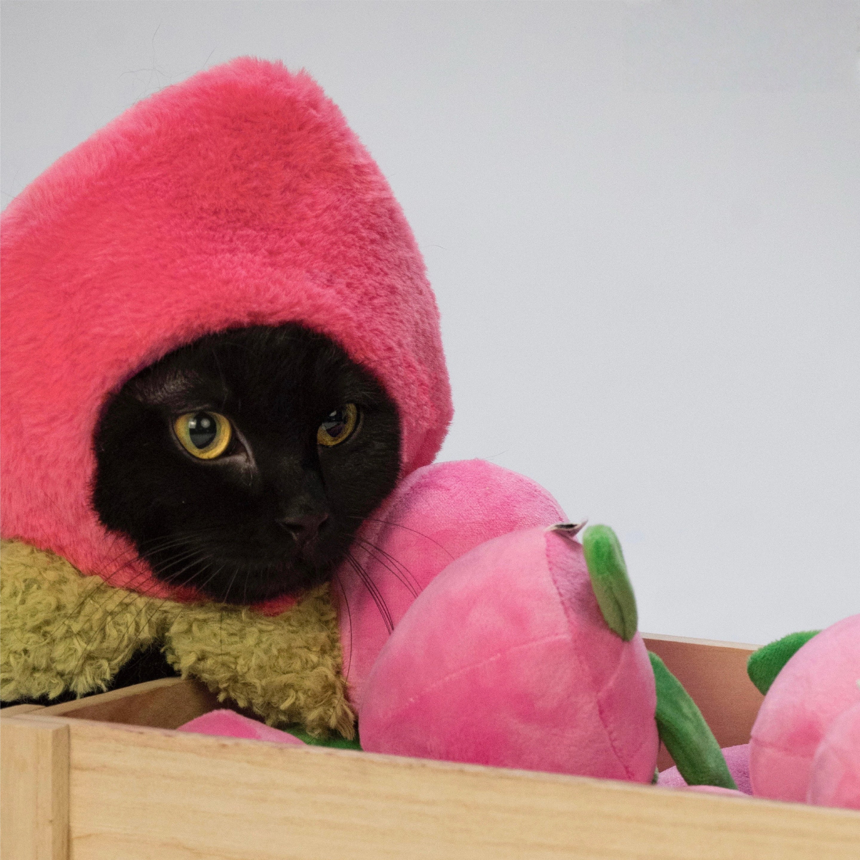 PeachPaw Cat Costume Hat