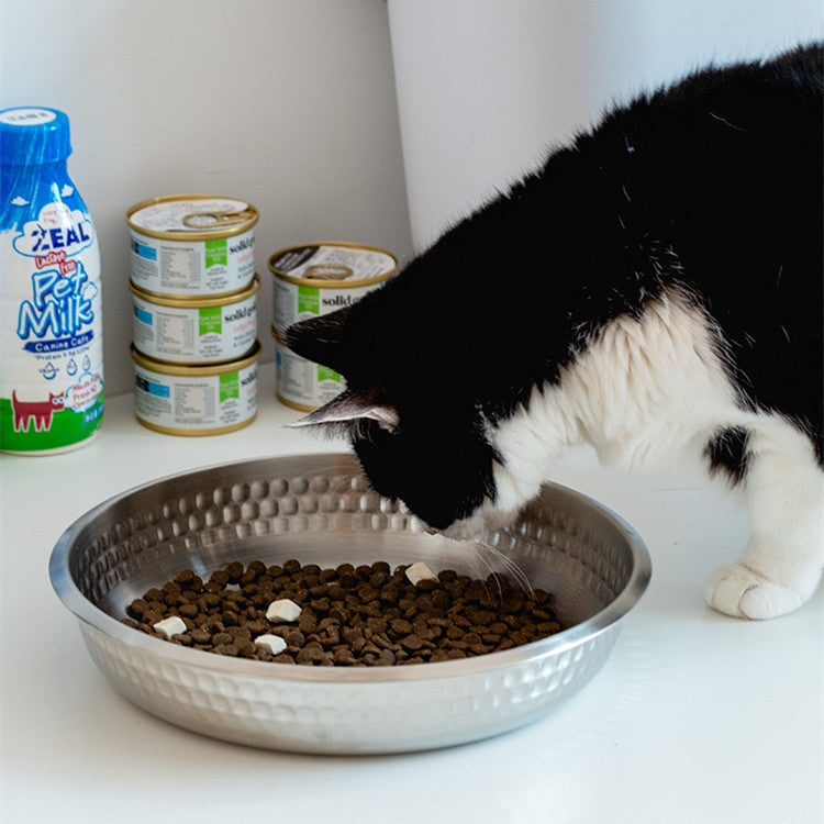 Stainless Steel Cat Food Bowl