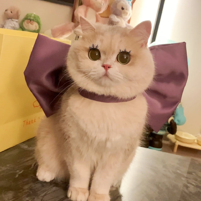 Cat Bow Collar – Elegant Satin Ribbon