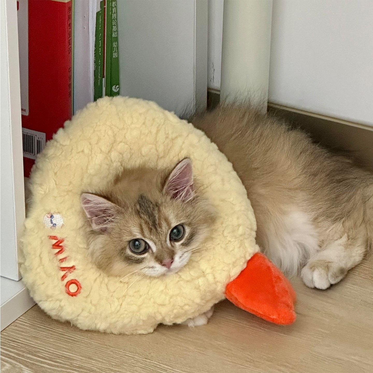 Tempura Plush Cat Costume Collar