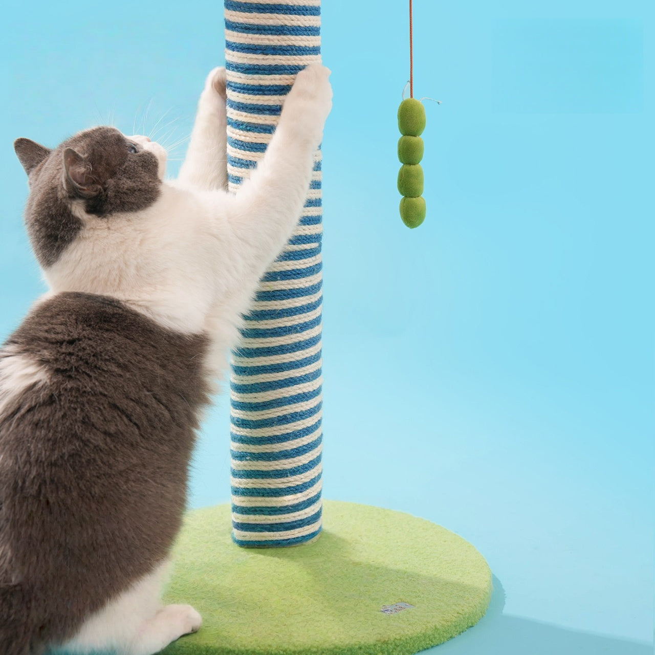 Apple Tree Cat Scratching Pole