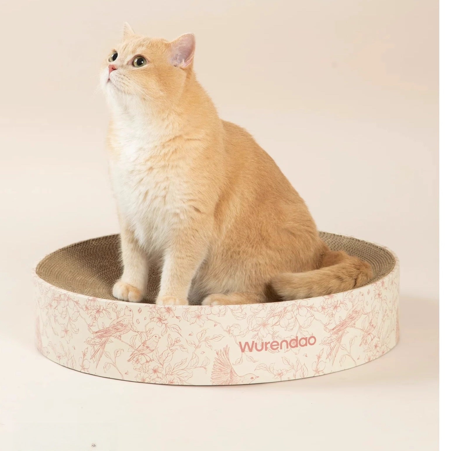 Gravo Cat Scratcher – Round Cardboard Scratch Pad for Happy Cats