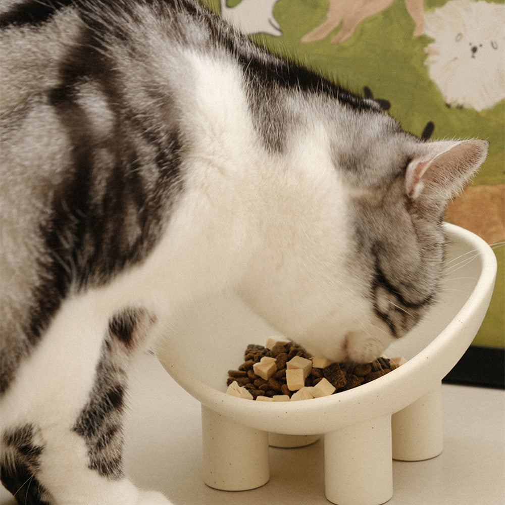 Cream Four-Leg Elevated Ceramic Cat Bowl