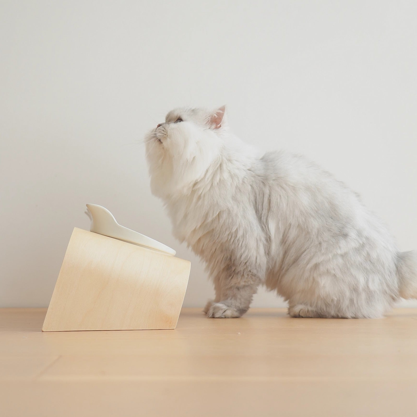 MUJI-Style Elevated Ceramic Cat Bowl Set
