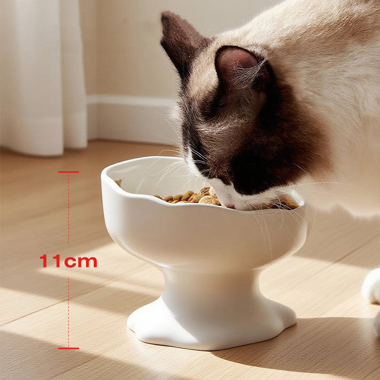 Ceramic Elevated Cat Bowl