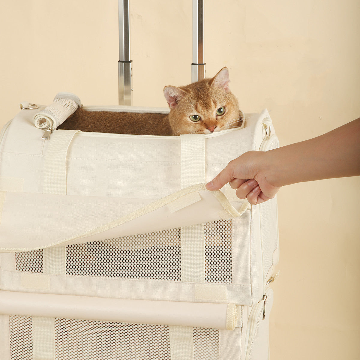 Double-Decker Rolling Pet Carrier with Detachable Design