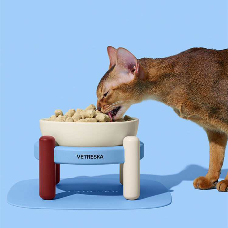 ColorBlock Elevated Ceramic Cat Bowl with Feeding Mat