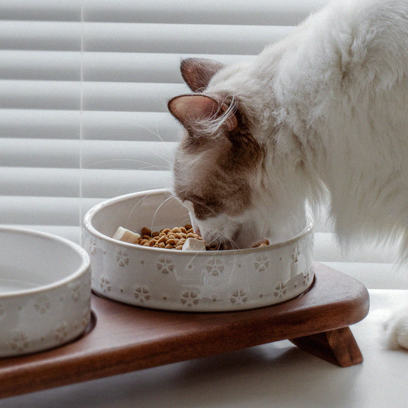 Vintage Ceramic Embossed Cat Bowl Set in Two bowls by Bigeeo