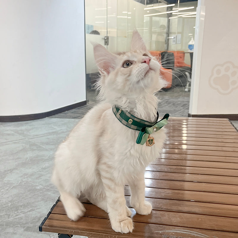 Slytherin Limited Edition Cat Collar