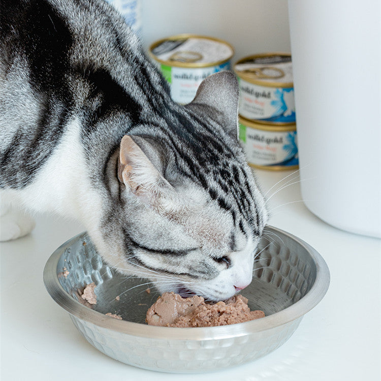 Stainless Steel Cat Food Bowl
