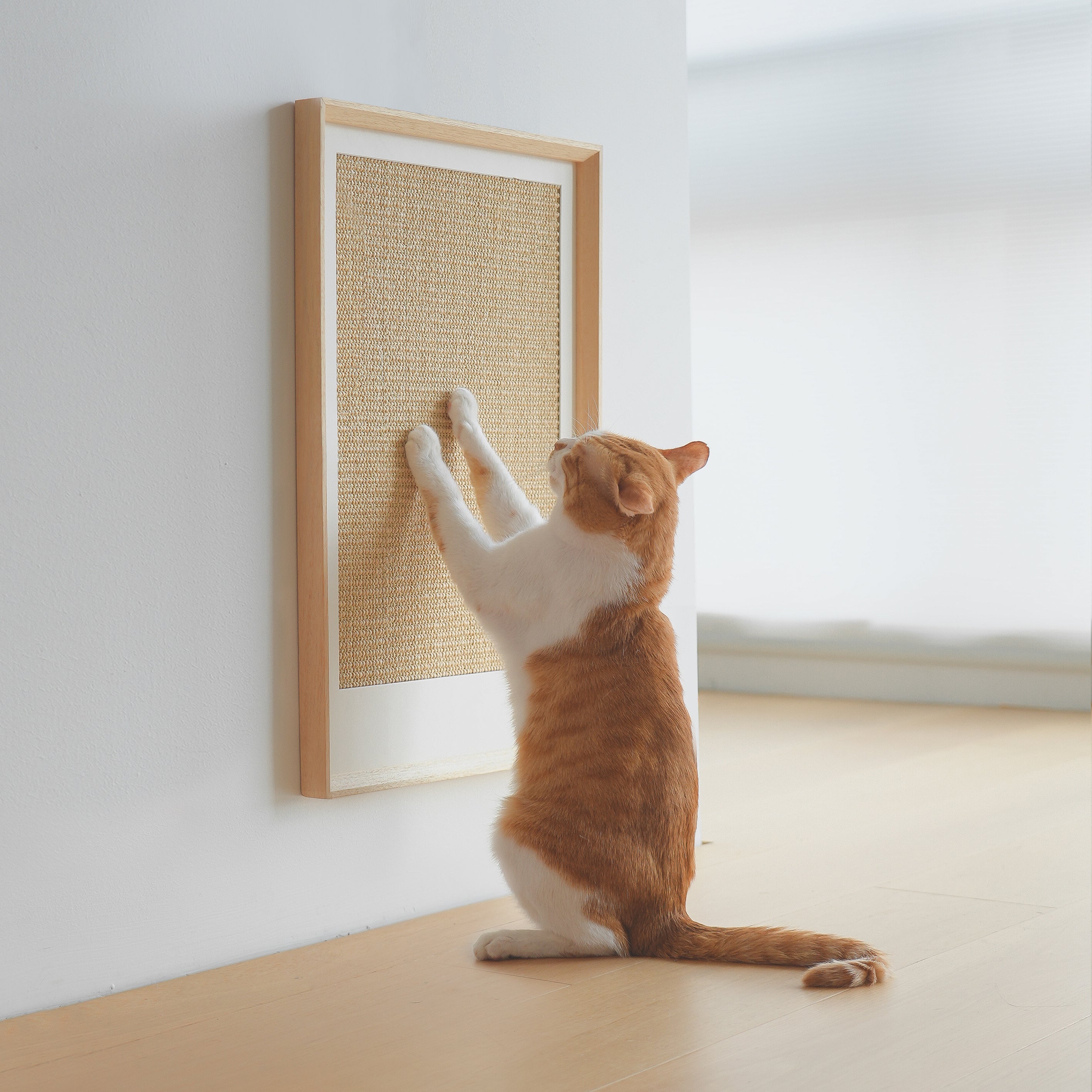 Sisal Cat Scratcher Frame