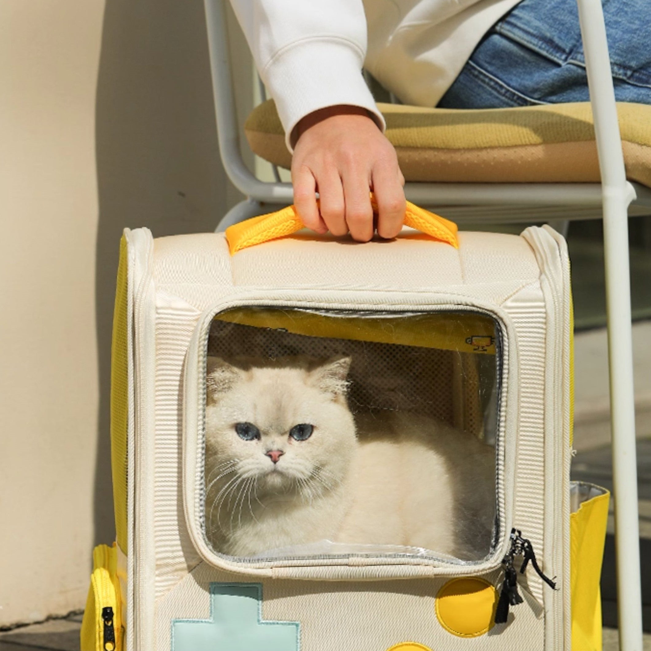 Retro Game Console Expandable Pet Backpack