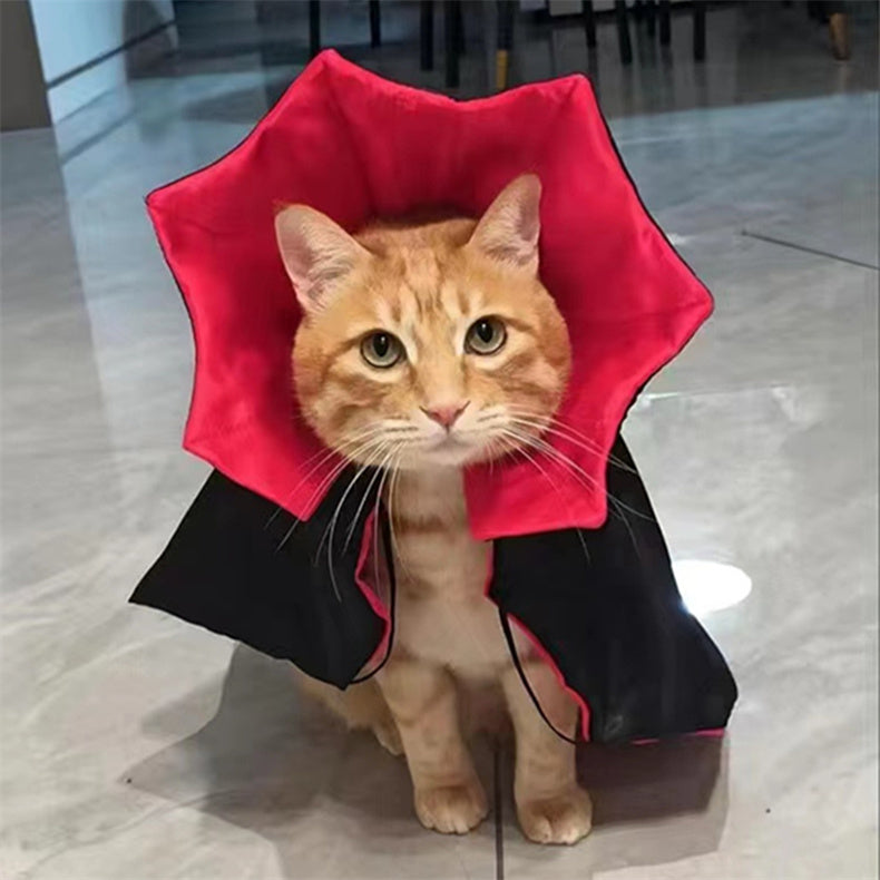 Halloween Vampire Cape Cat Costume (One Size)