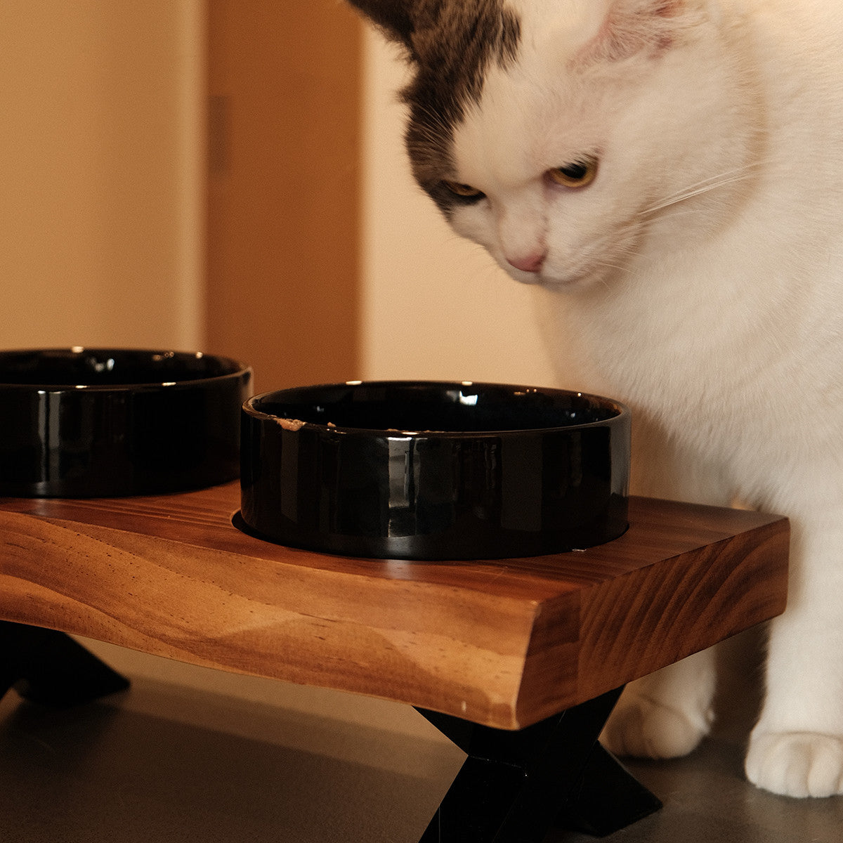 Luxury Ceramic Pet Dining Set cat bowl by Bigeeo