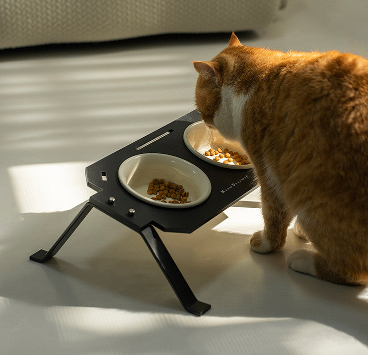 Elevated Dual Cat Bowl Set – Anti-Spill Design with Ceramic Inserts