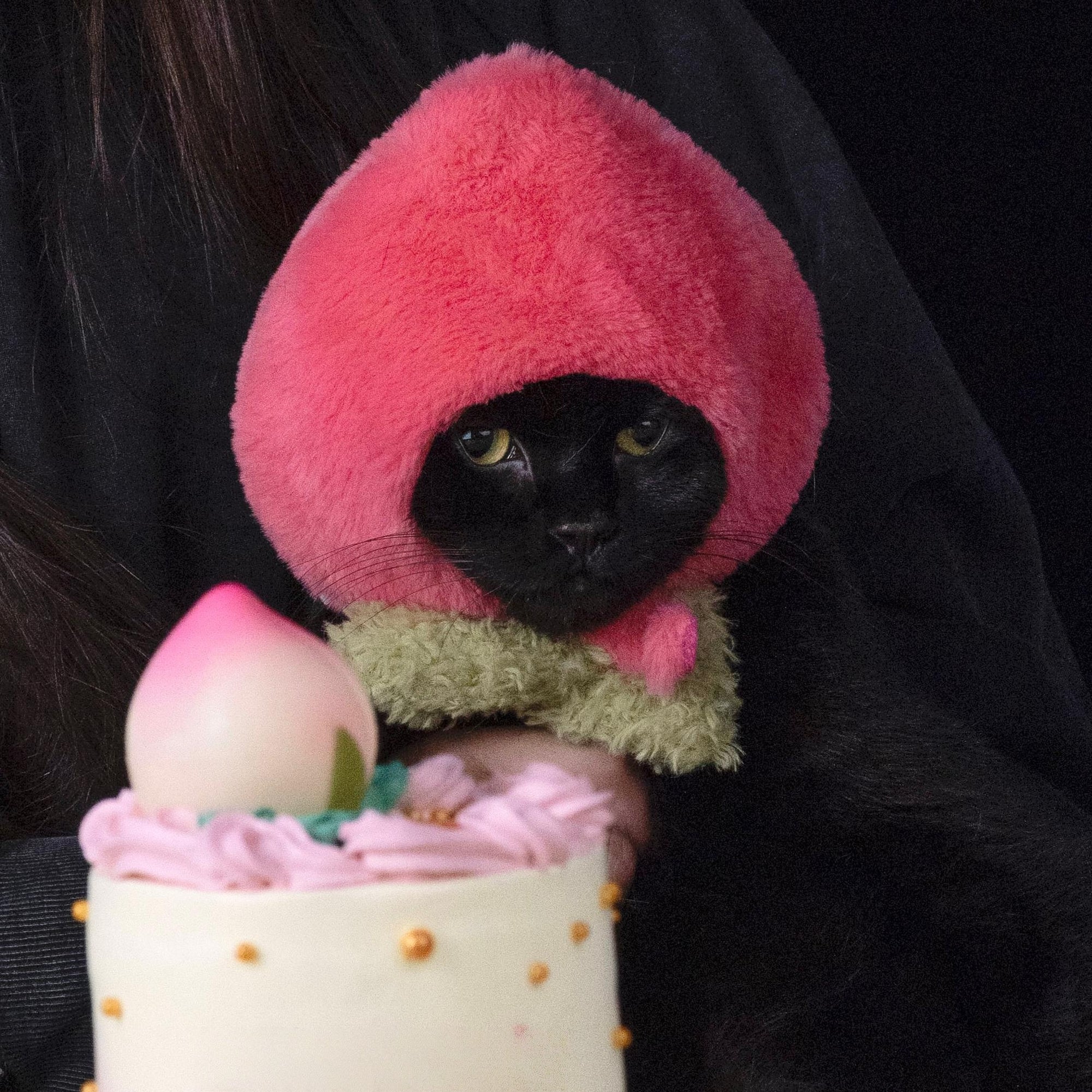 PeachPaw Cat Costume Hat