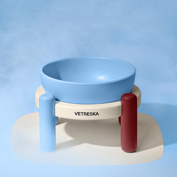 ColorBlock Elevated Ceramic Cat Bowl with Feeding Mat