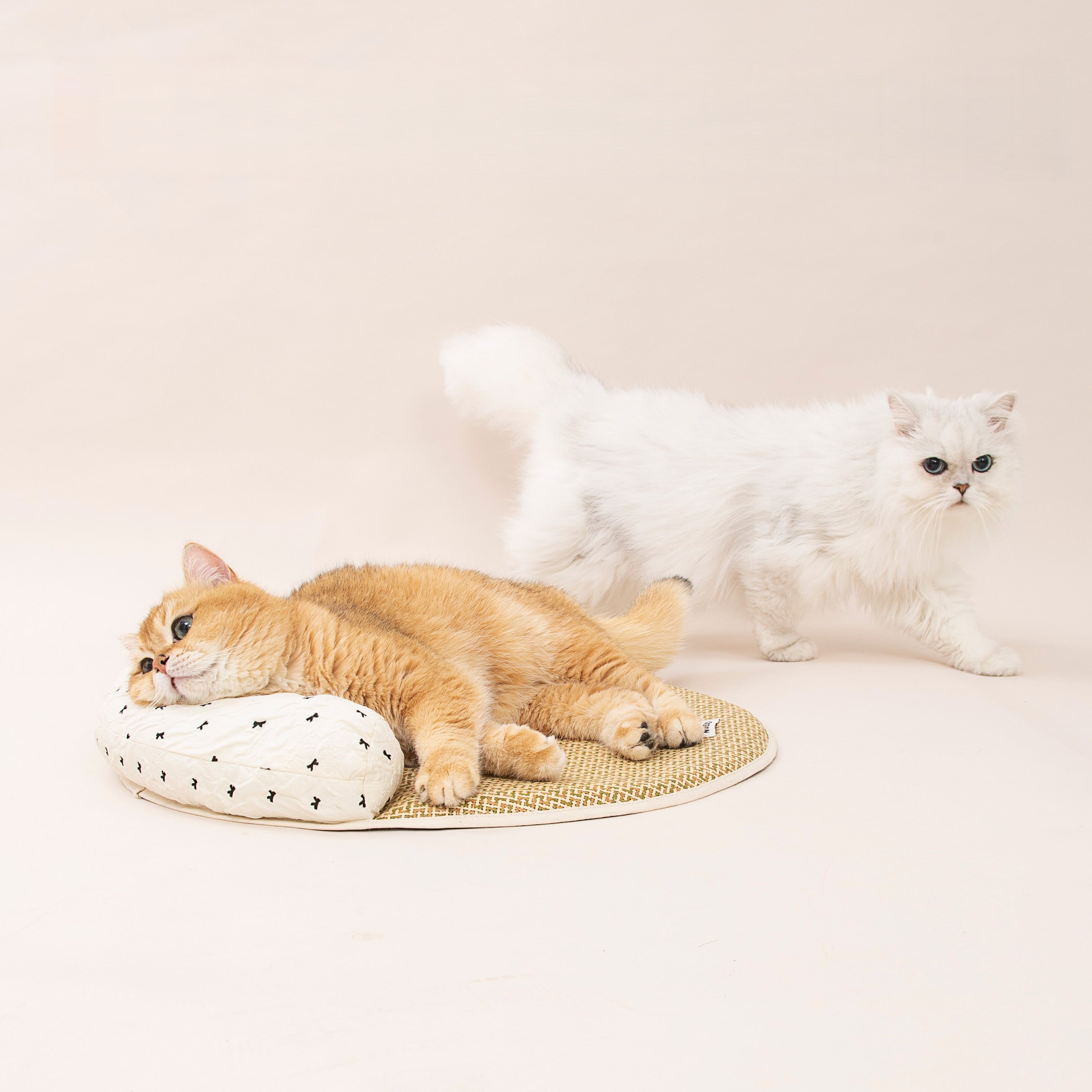 Brisa Cooling Cat Mat – Scratch-Friendly Summer Bed with Pillow
