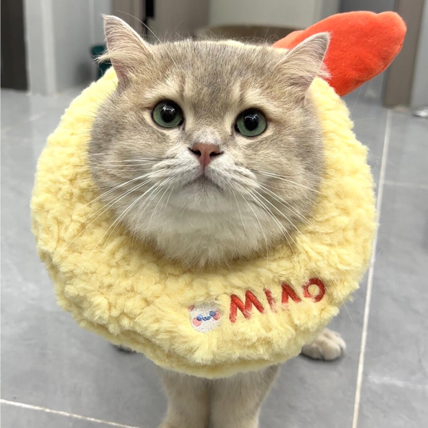 Tempura Plush Cat Costume Collar