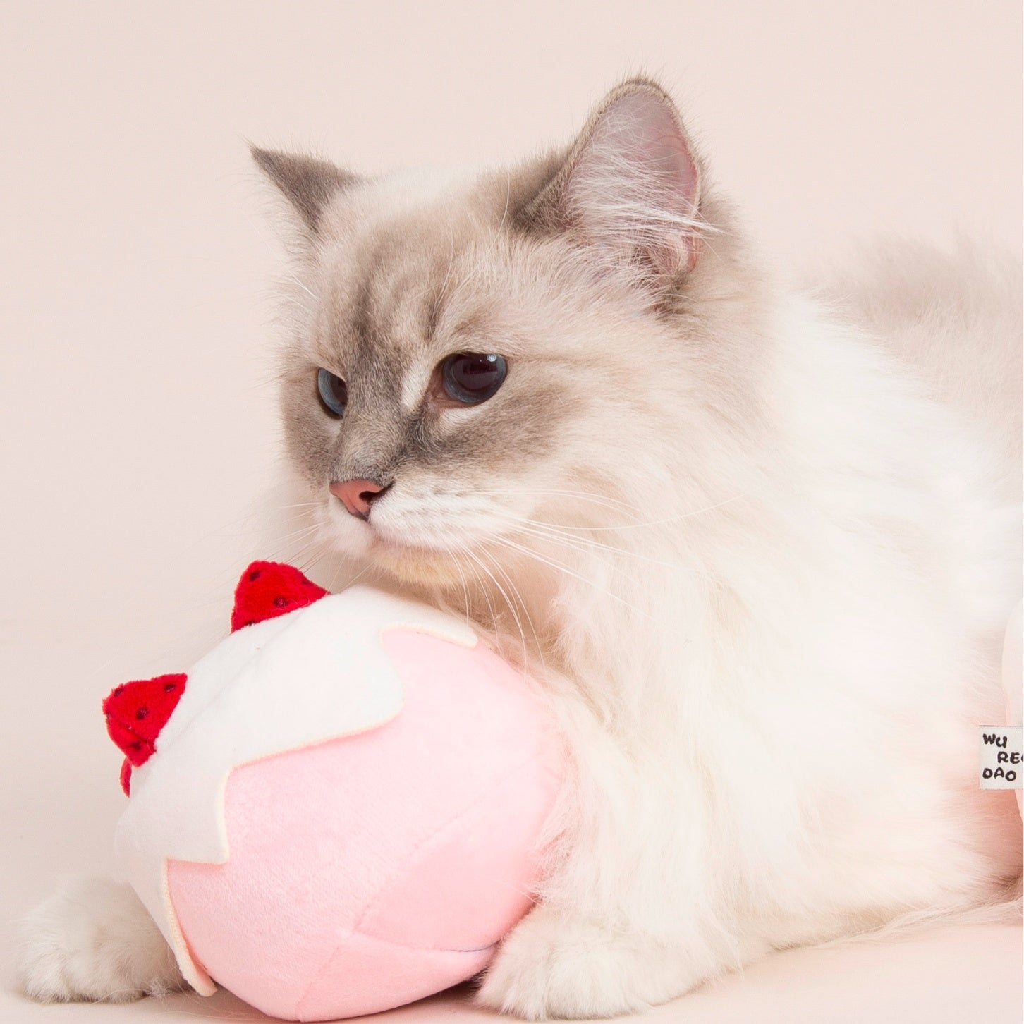 Gateau Catnip Toy – Strawberry Cake Plush for Cats