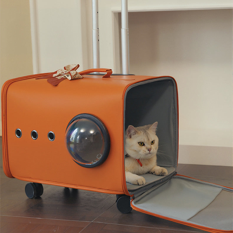 Airline-Approved Rolling Cat Carrier