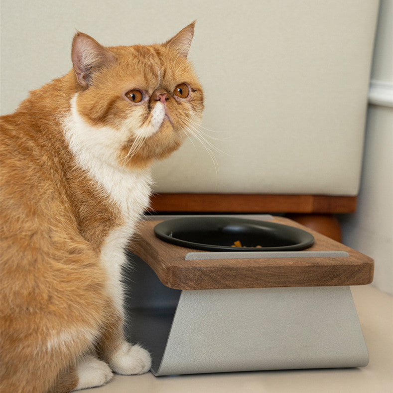 Modern Elevated Stainless Steel Cat Bowl by Bigeeo
