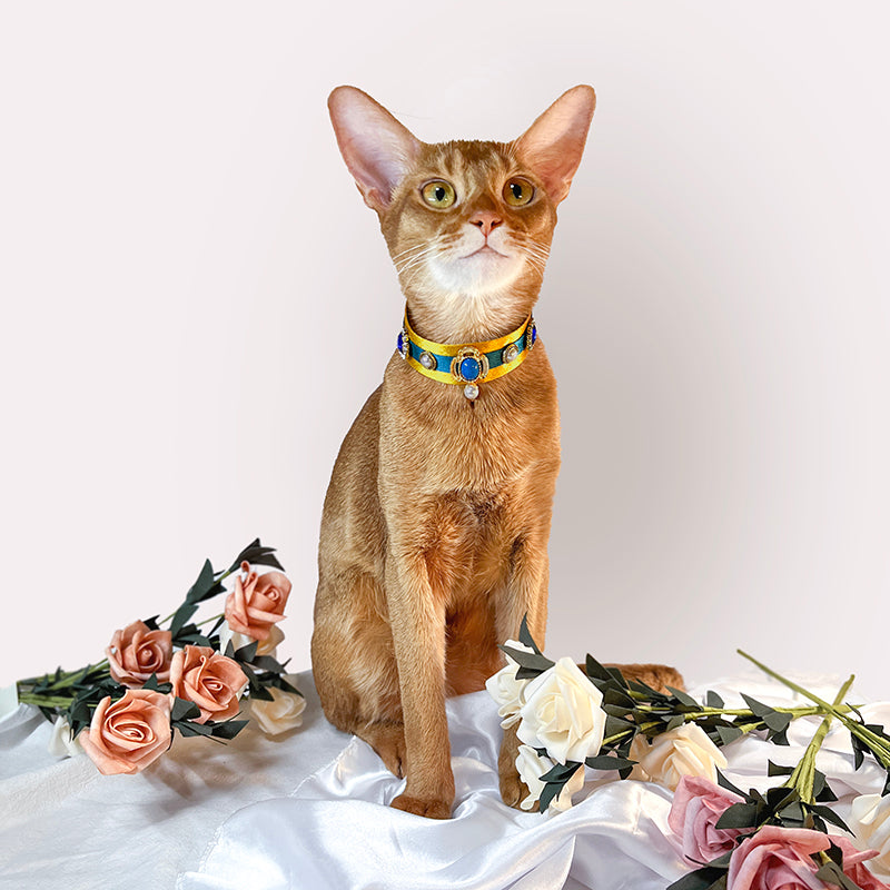 Pharaoh Cat Collar