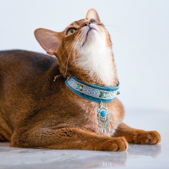Royal Blue Gem Cat Collar – Vintage Boho Style