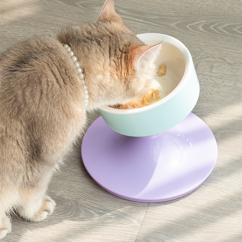 Adjustable Ceramic Cat Feeding Bowl cat bowl by Bigeeo – photo 2