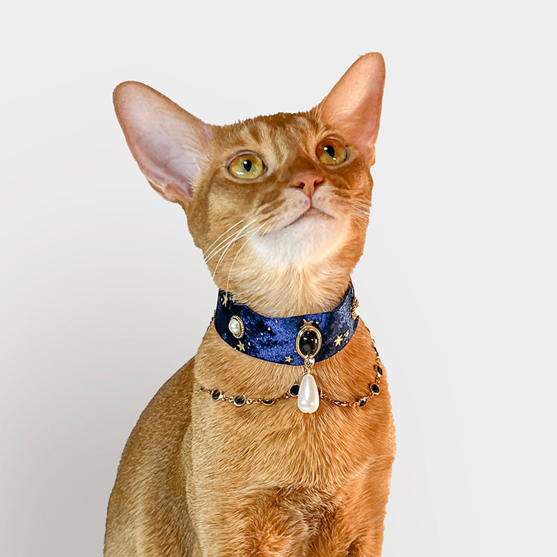 Starry Night Cat Collar