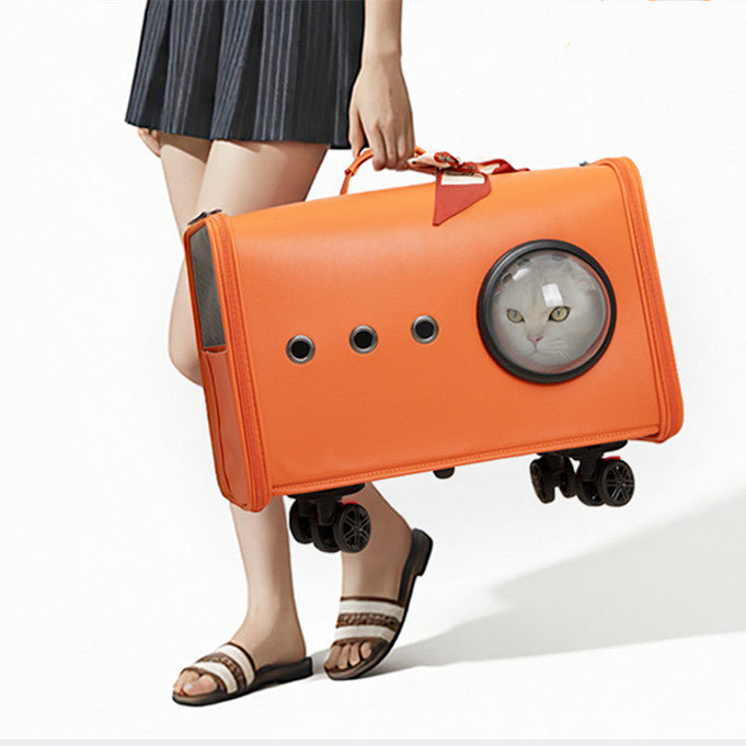 Airline-Approved Rolling Cat Carrier