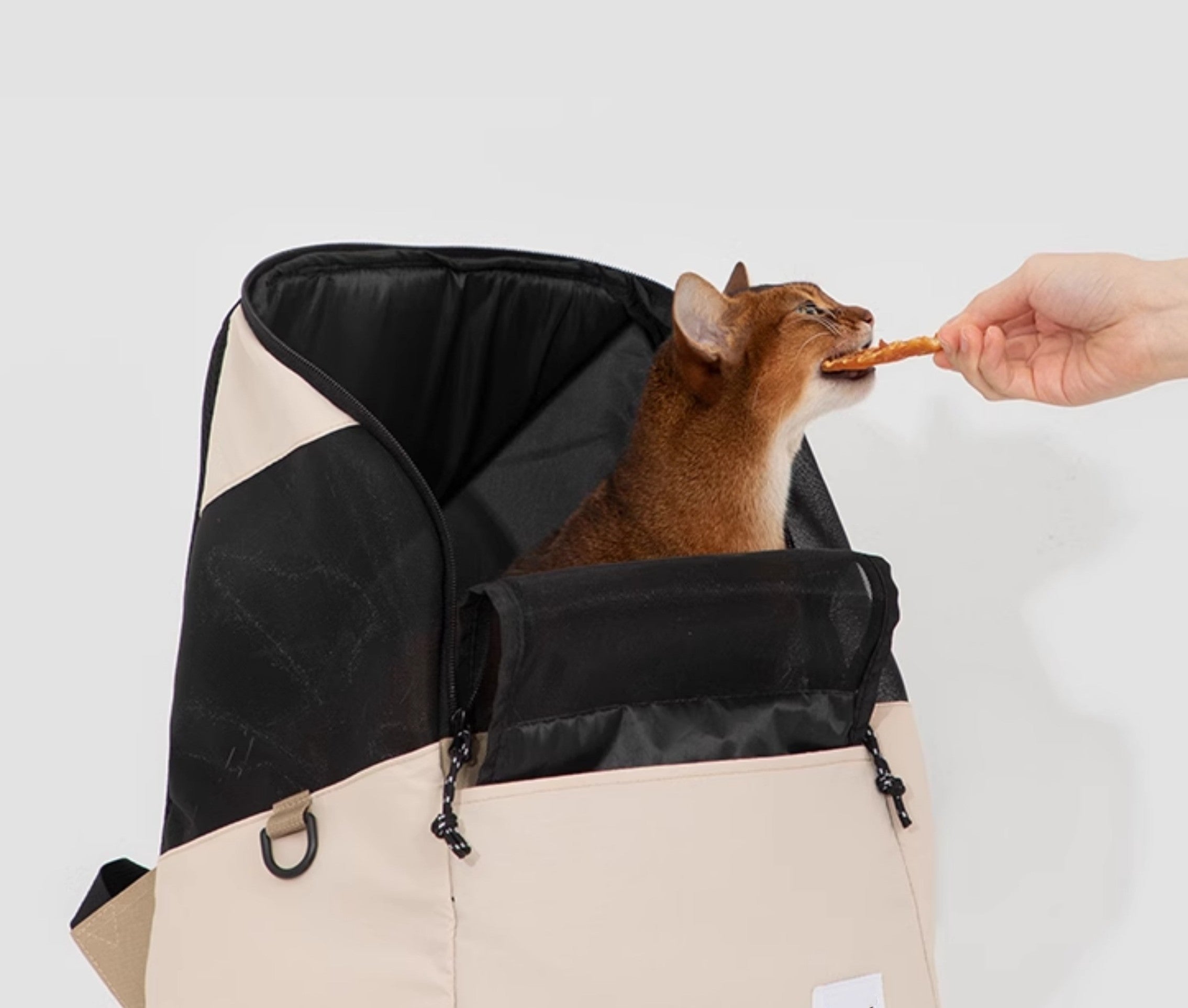 Four-Season Breathable Cat Travel Backpack
