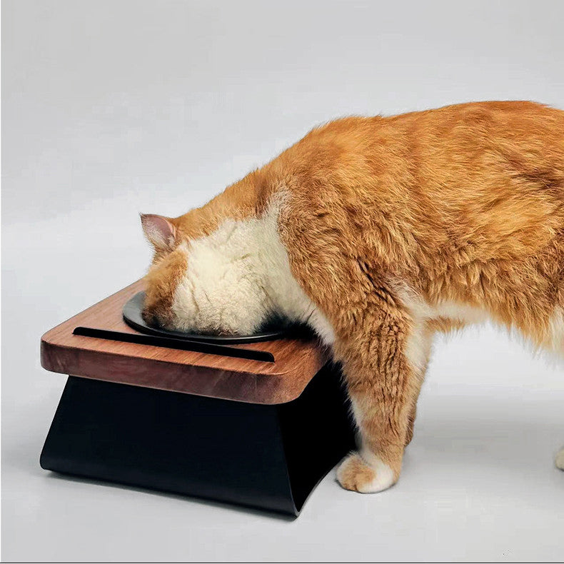Modern Elevated Stainless Steel Cat Bowl