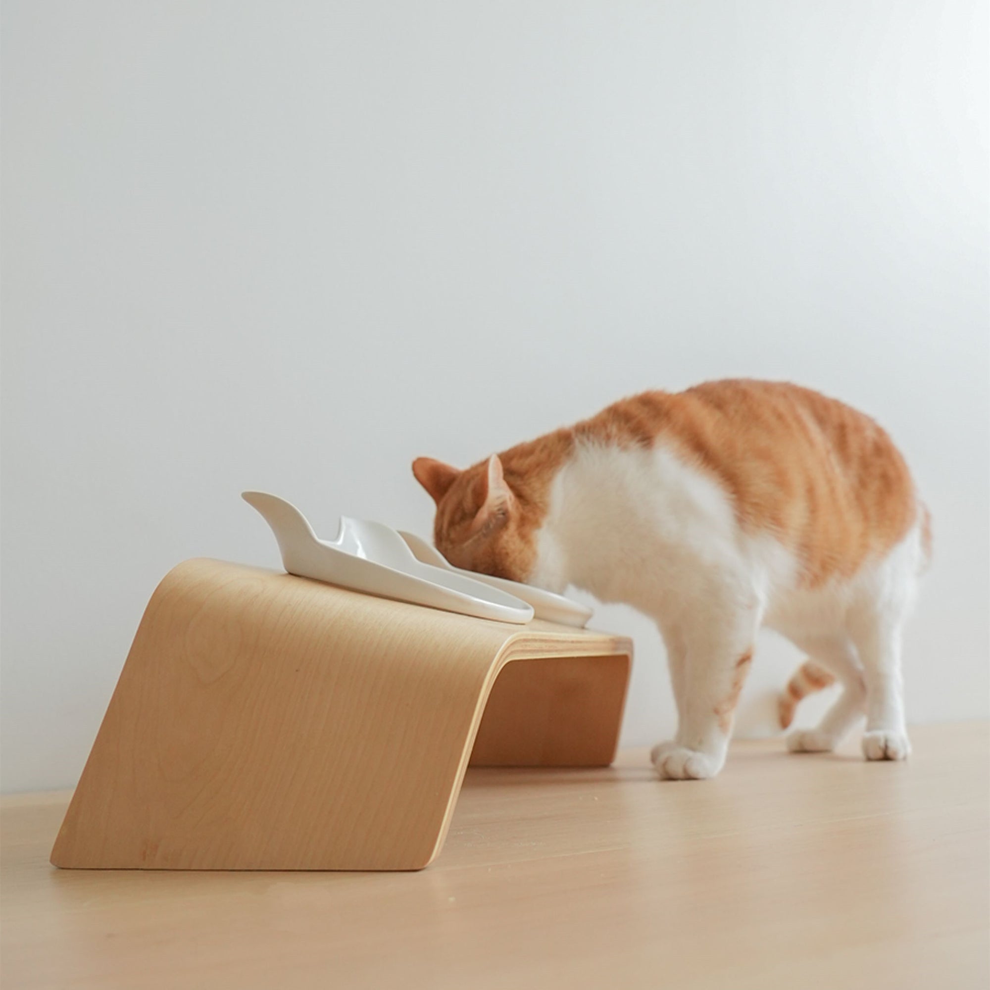 MUJI-Style Elevated Ceramic Cat Bowl Set by Bigeeo – photo 2