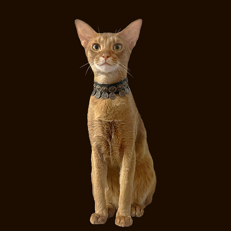 Sunset Cat Necklace