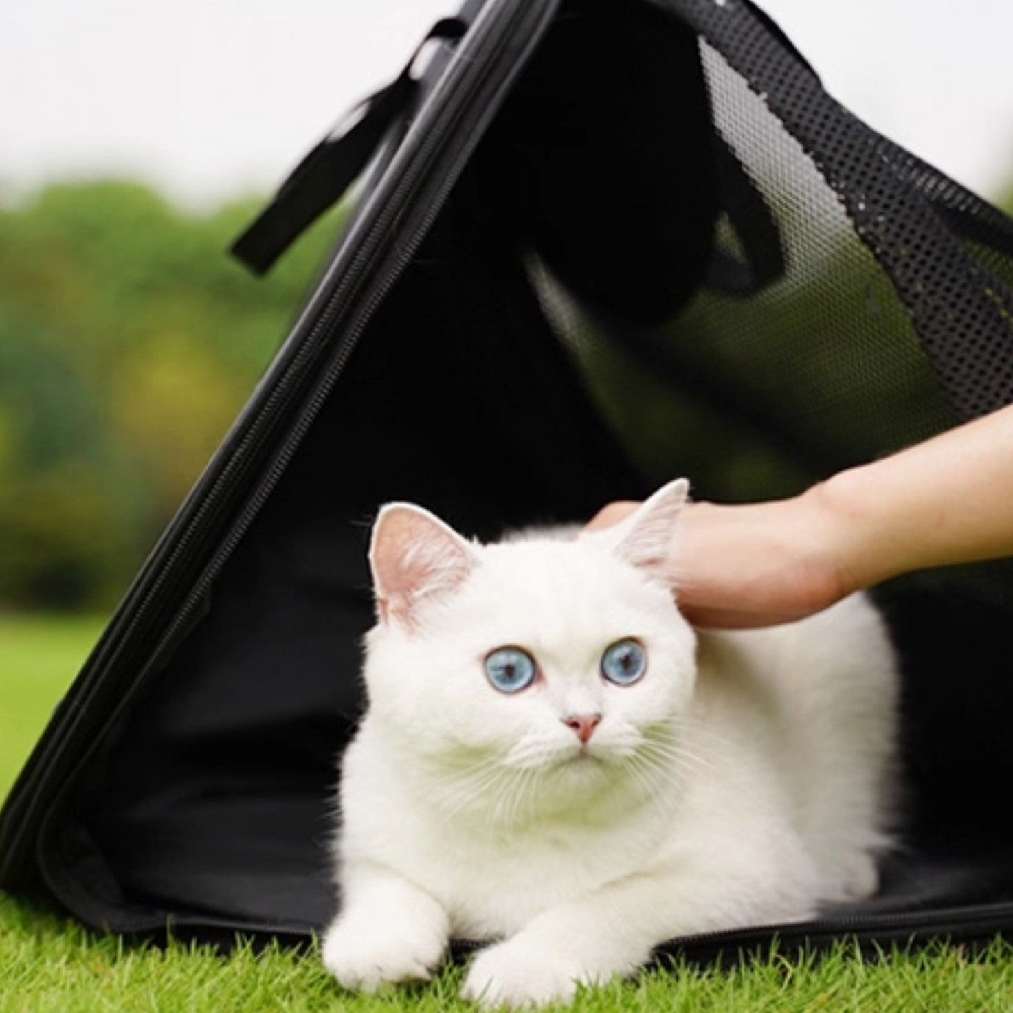 Foldable Breathable Cat Travel Tent Carrier