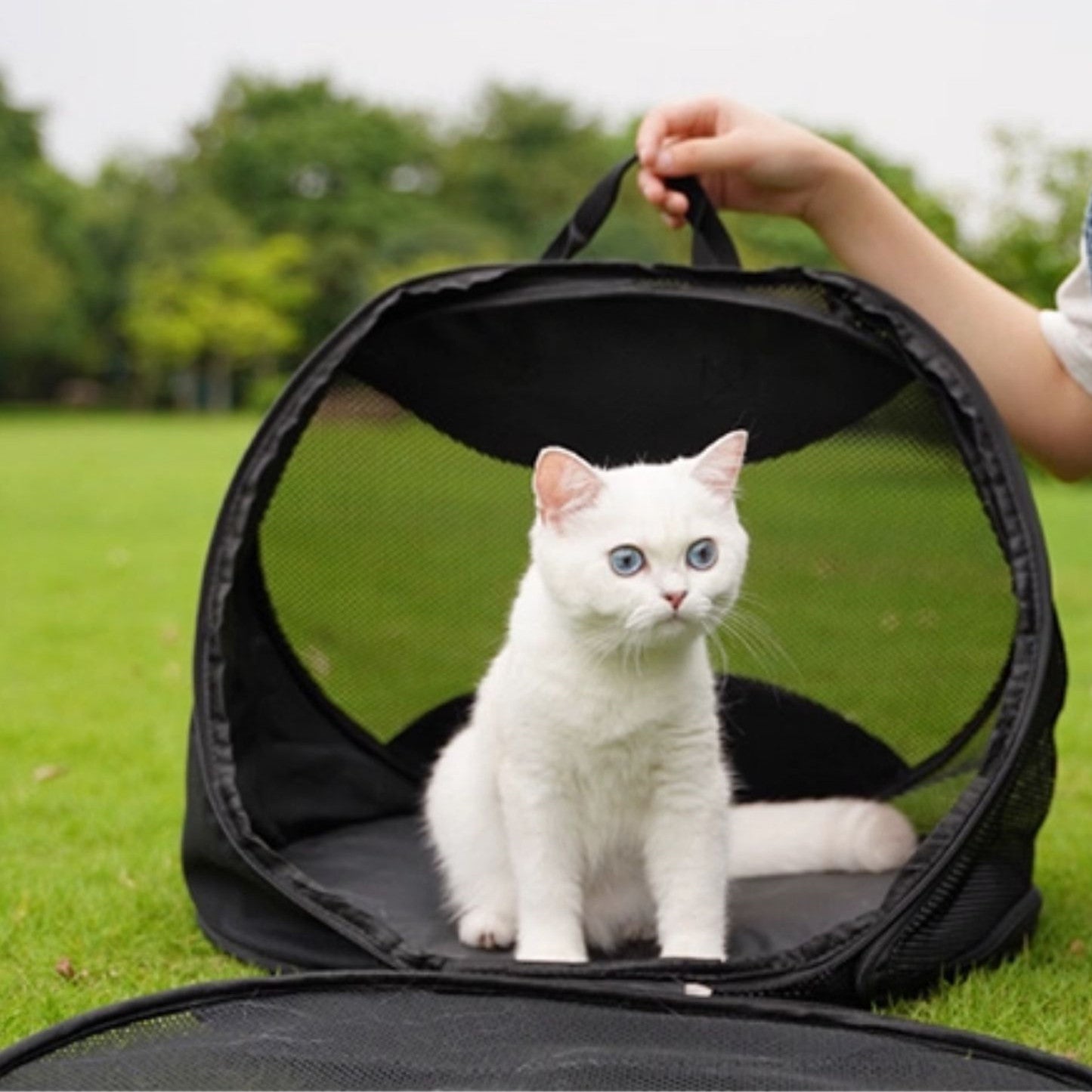 Foldable Breathable Cat Travel Tent Carrier